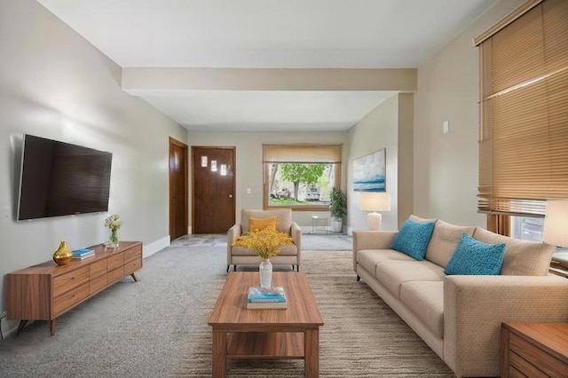 733 1st St SW, Faribault, MN 55021 - living area with light colored carpet and baseboards