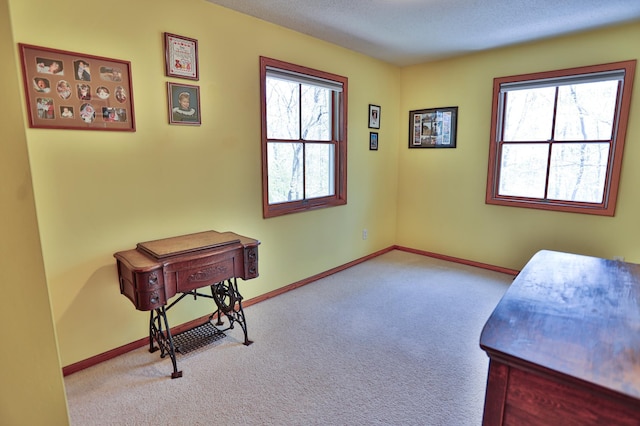127 County Rd W, Pleasant Valley Twp, WI 54022 - carpeted home office featuring plenty of natural light, baseboards, and a textured ceiling