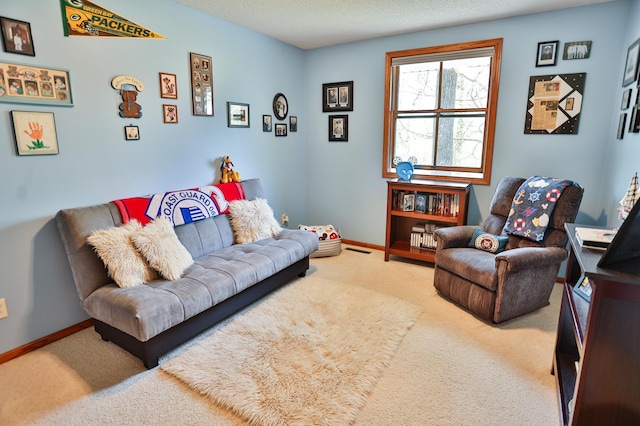 127 County Rd W, Pleasant Valley Twp, WI 54022 - carpeted living room with baseboards