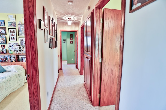 127 County Rd W, Pleasant Valley Twp, WI 54022 - hallway with light colored carpet, a textured ceiling, and baseboards