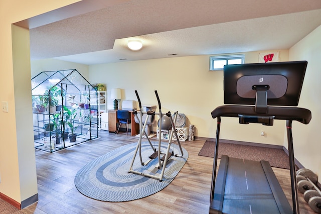 127 County Rd W, Pleasant Valley Twp, WI 54022 - exercise room featuring wood finished floors, baseboards, and a textured ceiling