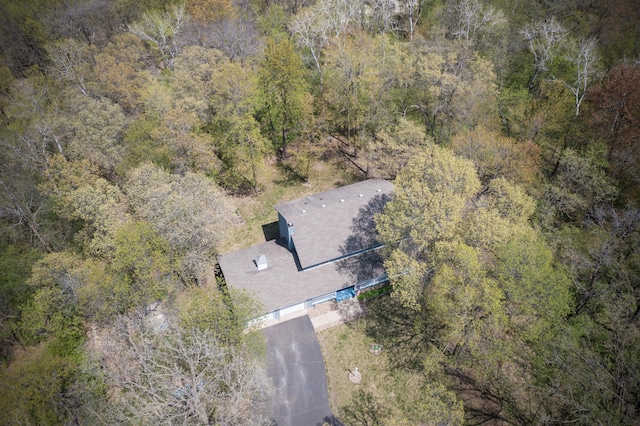 127 County Rd W, Pleasant Valley Twp, WI 54022 - view of subject property featuring a heavily wooded area