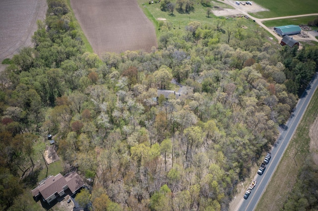 127 County Rd W, Pleasant Valley Twp, WI 54022 - view of property location with a forest