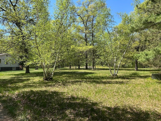 25622 Blue Bonnet Rd, Center Twp, MN 56465 - view of grassy yard