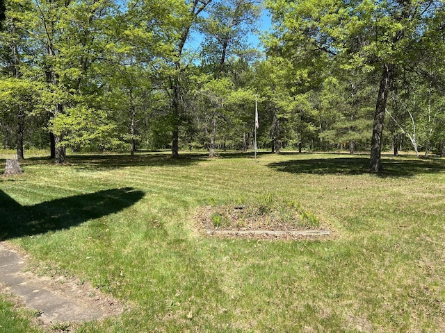 25622 Blue Bonnet Rd, Center Twp, MN 56465 - view of grassy yard with a wooded view