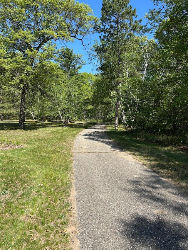 25622 Blue Bonnet Rd, Center Twp, MN 56465 - view of road featuring a wooded view