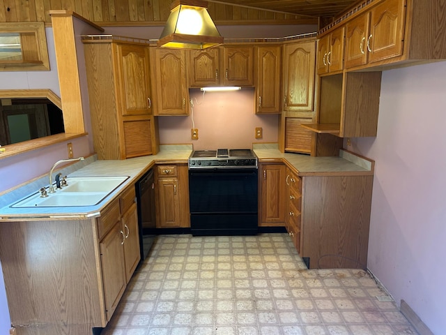 25622 Blue Bonnet Rd, Center Twp, MN 56465 - kitchen featuring electric stove, light floors, dishwasher, light countertops, and brown cabinets