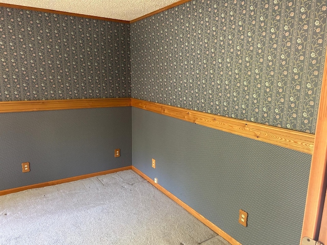 25622 Blue Bonnet Rd, Center Twp, MN 56465 - unfurnished room featuring ornamental molding, carpet, and baseboards