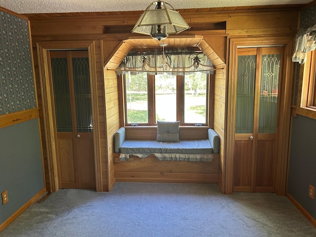 25622 Blue Bonnet Rd, Center Twp, MN 56465 - interior space featuring carpet floors, wood walls, and baseboards