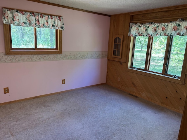 25622 Blue Bonnet Rd, Center Twp, MN 56465 - spare room with wood walls, baseboards, light colored carpet, a textured ceiling, and crown molding