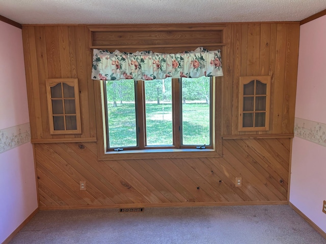 25622 Blue Bonnet Rd, Center Twp, MN 56465 - empty room with wood walls and carpet