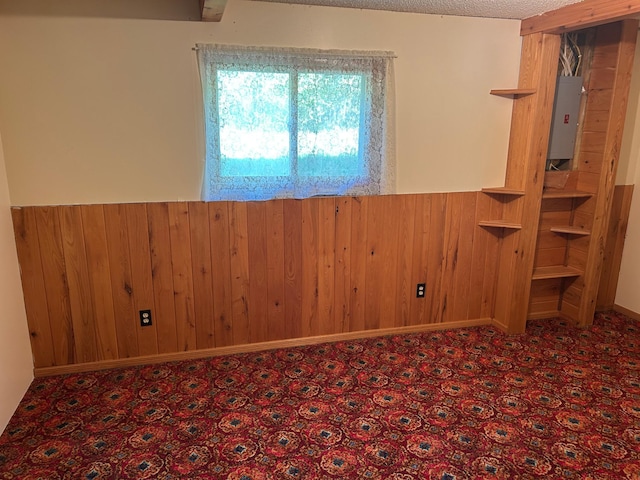 25622 Blue Bonnet Rd, Center Twp, MN 56465 - spare room featuring electric panel, wainscoting, and wood walls