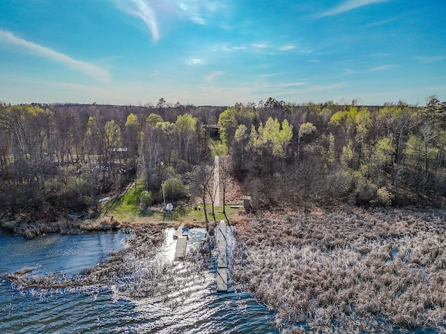 water view featuring a forest