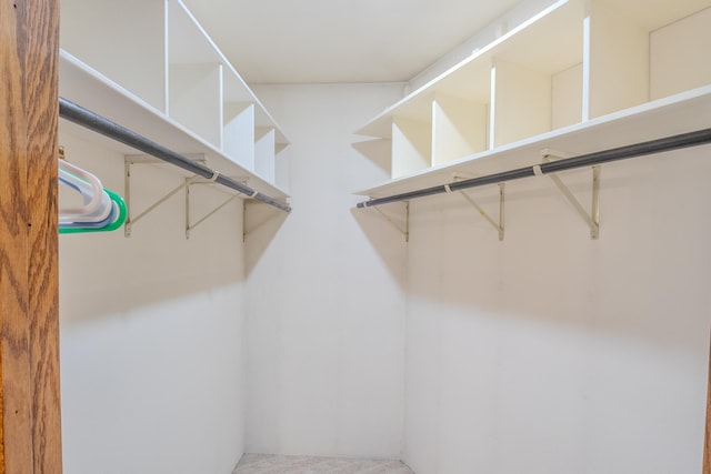 view of walk in closet