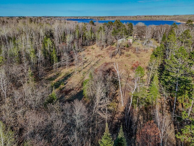 bird's eye view of a nearby body of water
