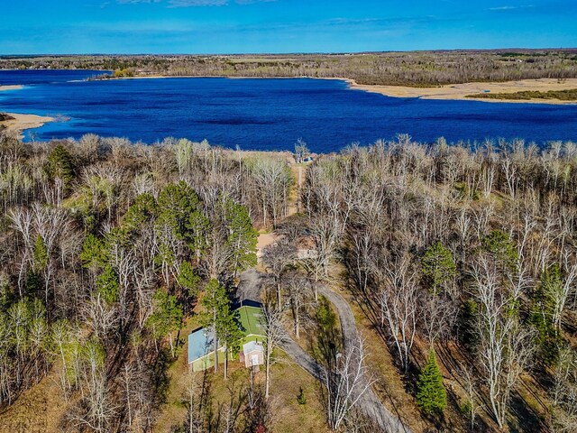 drone / aerial view of a nearby body of water
