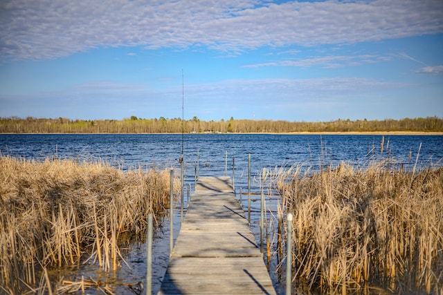 water view featuring a dock