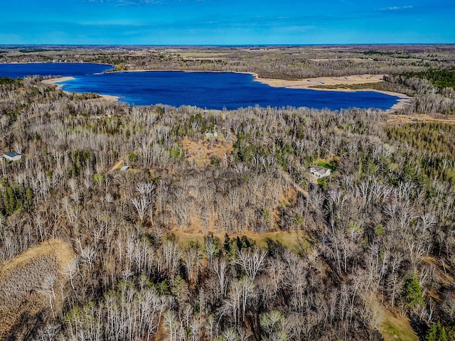 aerial view of a nearby body of water and a forest