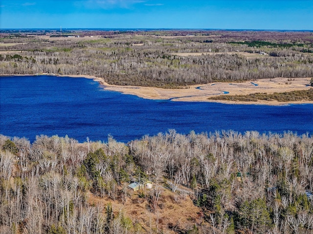 drone / aerial view of a large body of water