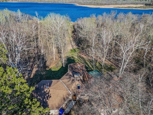 bird's eye view of a nearby body of water