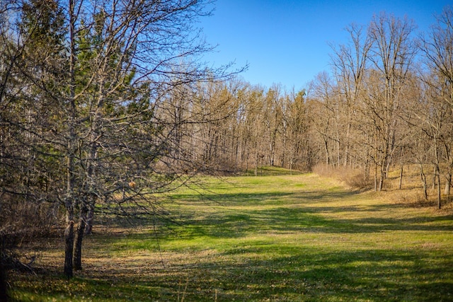 view of wooded area