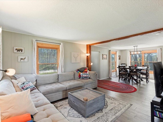 15921 Eaglewood Dr, Bay Lake Twp, MN 56444 - living room featuring a textured ceiling and wood finished floors