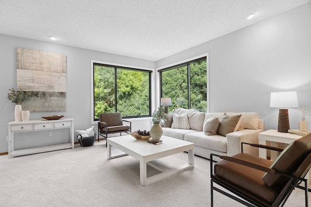 4255 Wexford Way, Eagan, MN 55122 - carpeted living area with a textured ceiling and recessed lighting