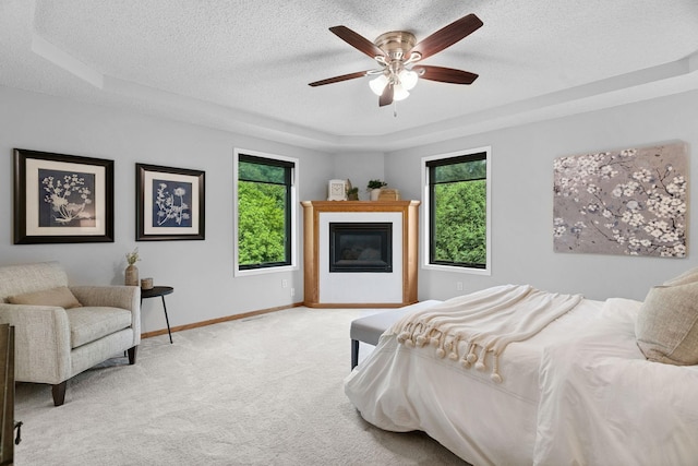 4255 Wexford Way, Eagan, MN 55122 - bedroom with multiple windows, carpet floors, a raised ceiling, a textured ceiling, and a glass covered fireplace
