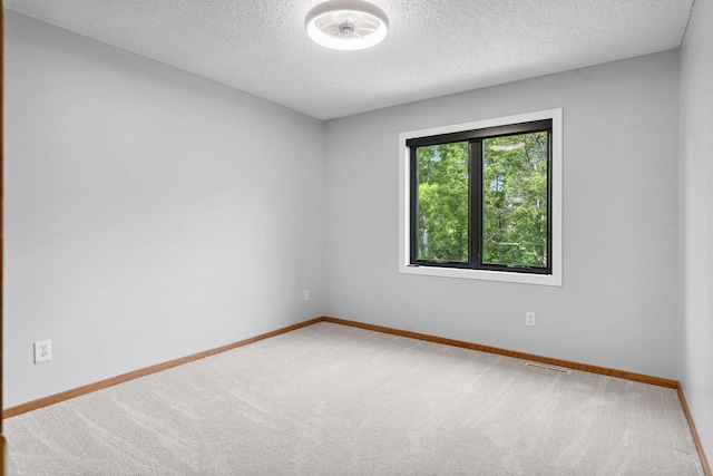 4255 Wexford Way, Eagan, MN 55122 - empty room featuring a textured ceiling and carpet flooring
