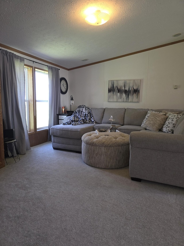 88700 388th Ave, Weimer Twp, MN 56137 - photo 8