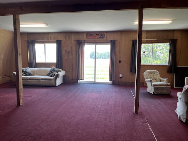 88700 388th Ave, Weimer Twp, MN 56137 - photo 39