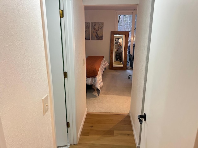 hall featuring a textured wall, wood finished floors, and carpet