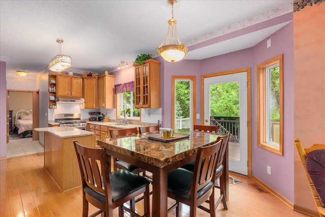 9230 Cheney Trl, Inver Grove Heights, MN 55076 - dining room featuring light wood-type flooring and baseboards