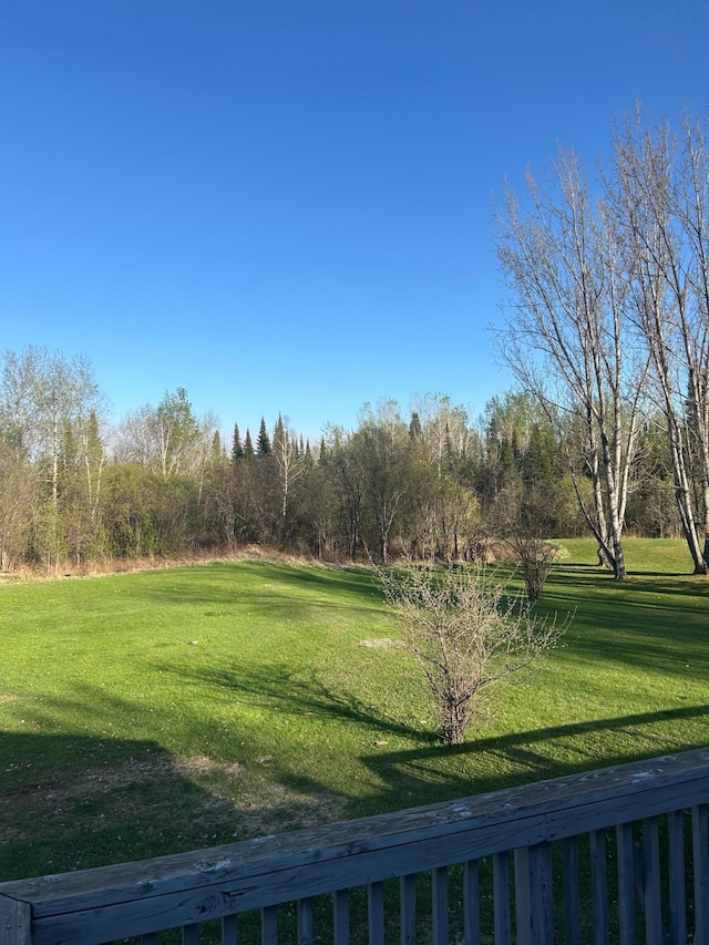 7424 Ely Lake Dr, Fayal Twp, MN 55734 - view of green lawn
