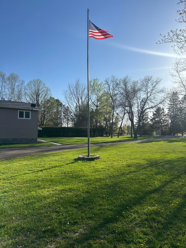 7424 Ely Lake Dr, Fayal Twp, MN 55734 - view of grassy yard