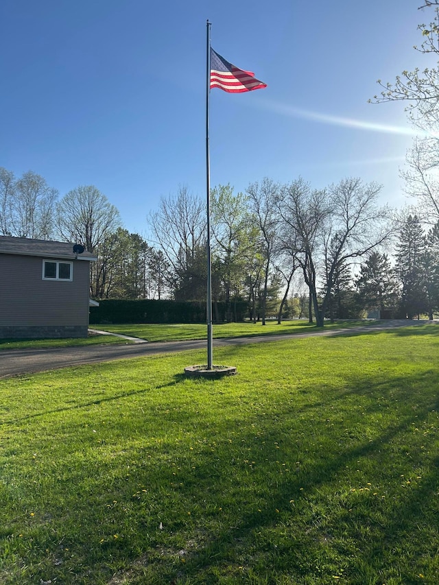 7424 Ely Lake Dr, Fayal Twp, MN 55734 - view of green lawn