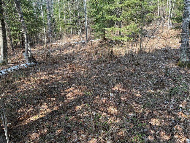 6041 Voyageurs Trl, Biwabik, MN 55705 - photo 6