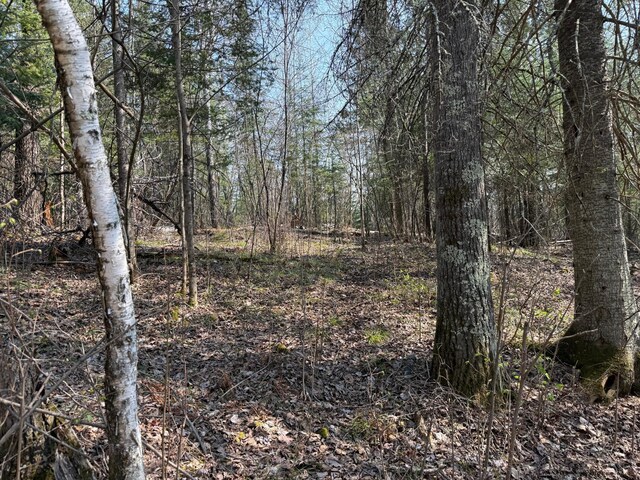 6041 Voyageurs Trl, Biwabik, MN 55705 - photo 12
