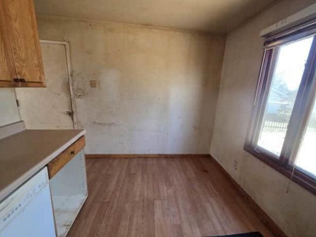 unfurnished dining area featuring light wood-style flooring and healthy amount of natural light