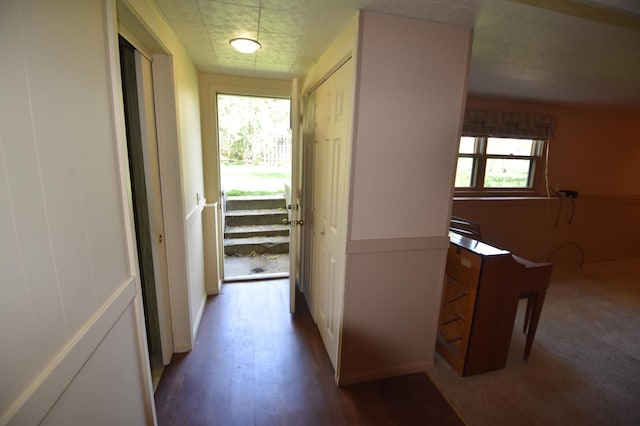 hall with plenty of natural light and wood finished floors