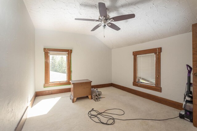 6521 County Road 87 SE, Alexandria, MN 56308 - photo 18