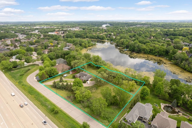 16865 Terrey Pine Dr, Eden Prairie, MN 55347 - aerial view of property's location with a large body of water and property boundaries highlighted