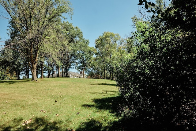 16865 Terrey Pine Dr, Eden Prairie, MN 55347 - view of grassy yard