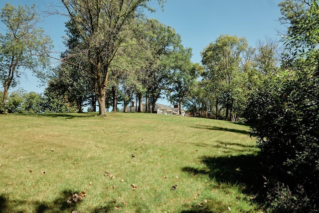 16865 Terrey Pine Dr, Eden Prairie, MN 55347 - view of grassy yard