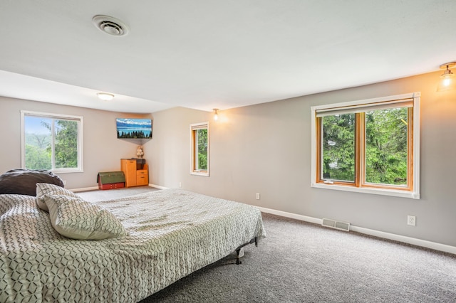 W10005 710th Ave, River Falls, WI 54022 - bedroom with baseboards, carpet, and multiple windows