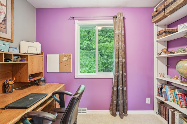 W10005 710th Ave, River Falls, WI 54022 - home office featuring carpet and baseboards