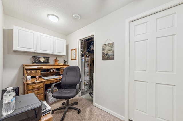27180 Lakewood Dr NW, Stanford Twp, MN 55040 - home office with gas water heater, carpet floors, a textured ceiling, and baseboards