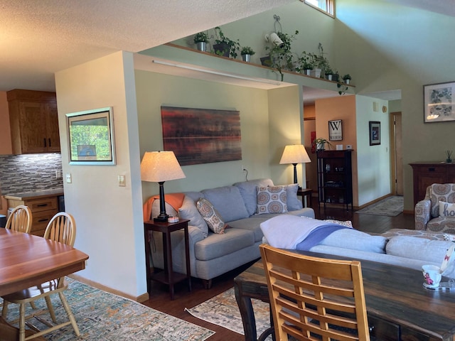 875 20th St, Windom, MN 56101 - living area featuring wood finished floors, baseboards, high vaulted ceiling, and a textured ceiling