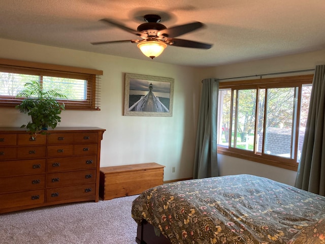 875 20th St, Windom, MN 56101 - carpeted bedroom with a ceiling fan