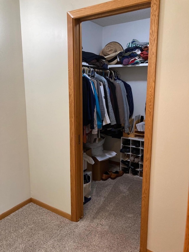 875 20th St, Windom, MN 56101 - walk in closet featuring carpet